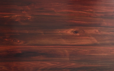 �����֦����ֺ��̴��