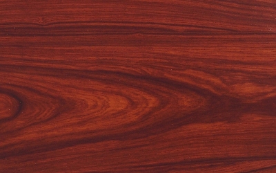 ���κ���֦�������̴��